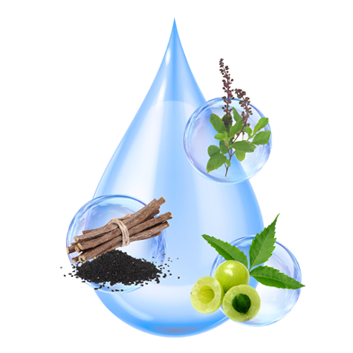 Trishveda Naturals introduces PoreLyte™ – An Award Winning Active Ingredient for Sebum Regulation and breakout-prone skin.